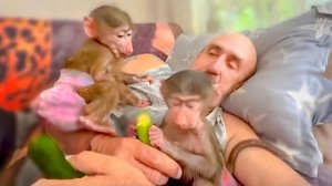 Влад решил отдохнуть, но Степа, Маня и Басик ПРОСТО АТАКОВАЛИ папу)))