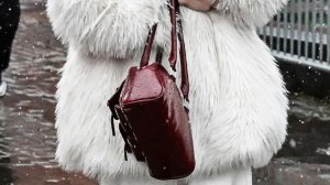 Жительница Праги пронесла в дамской сумочке снаряд в полицейский участок