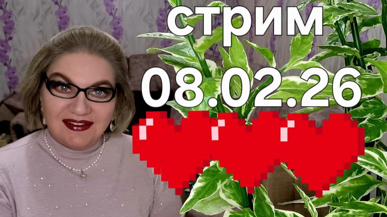 Спасибо, что заглянули❤️08.02.26 смотреть онлайн