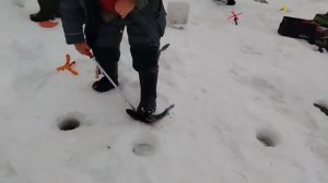 09.02.26.г. РК Волна.