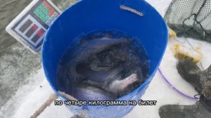 Запуск 104 кг от 09.02.26