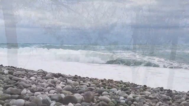  Шторм. Пицунда. Абхазия  архив