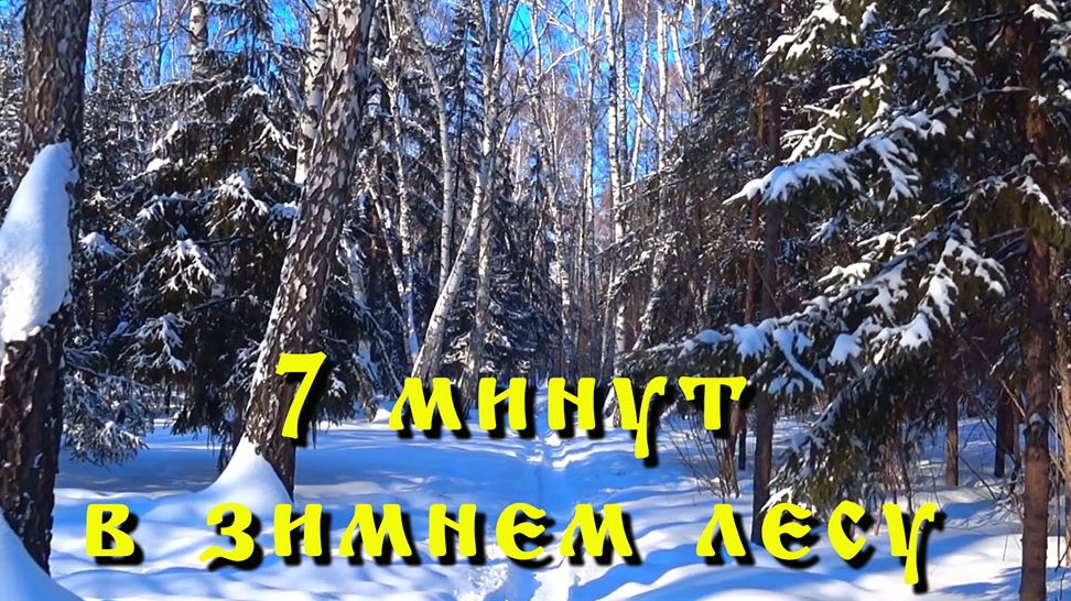 7 минут в зимнем лесу