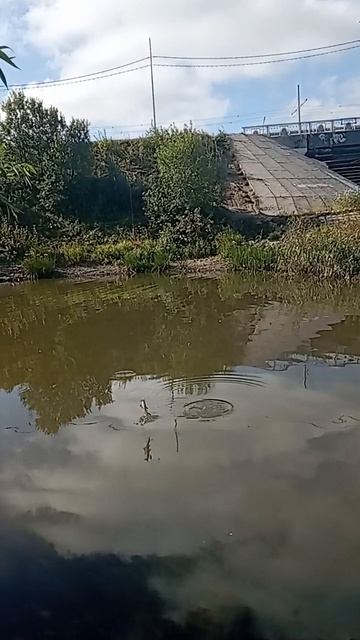 1204.mp4 смотреть онлайн