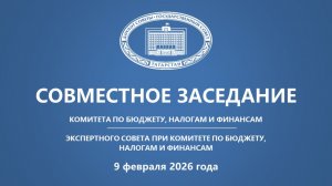 9.02.2026 Заседание Комитета ГС РТ по бюджету, налогам и финансам