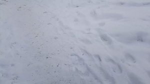 срочная информация