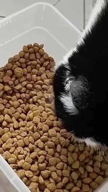 Марсель смотреть онлайн