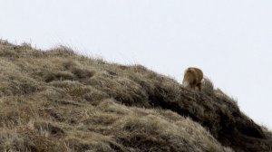 Тайна острова Матуа [недляэфира] 6