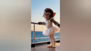 Весёлое видео про обезьянку для детей