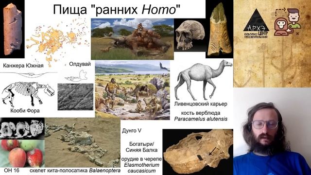 Станислав Дробышевский: История вкусной и здоровой пищи (№7)