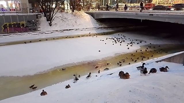 Ночная съемка Петербурга. Страничка надежды смотреть онлайн