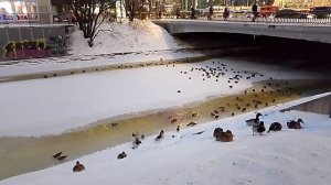 Ночная съемка Петербурга. Страничка надежды