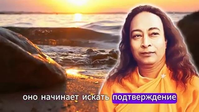 Исполнение желаний. смотреть онлайн