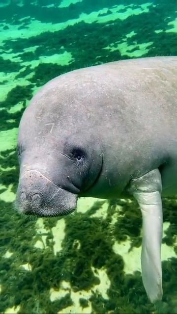 MOV_20260209_230954_468.mp4