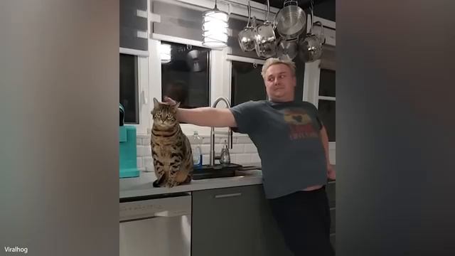 Забавные моменты с животными 2026 Забавные моменты с животными 2026