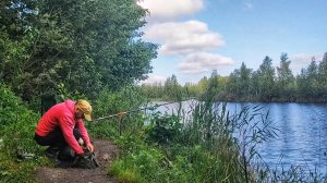 Рыбалка на торфяном карьере на карася на опарыша