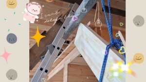 1000048141.mp4 (Собака наблюдает за устройством лестницы на 2 этаж в доме А-фрейм)