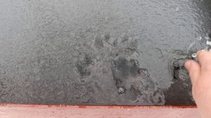 Вчера дождь сегодня снег потом плюс 17