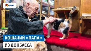 Бывший шахтёр спас десятки кошек и открыл приют в гараже