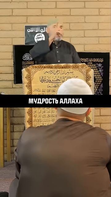 Шейх Сэм Шамун УЧИТ ПУТИ Ислама смотреть онлайн