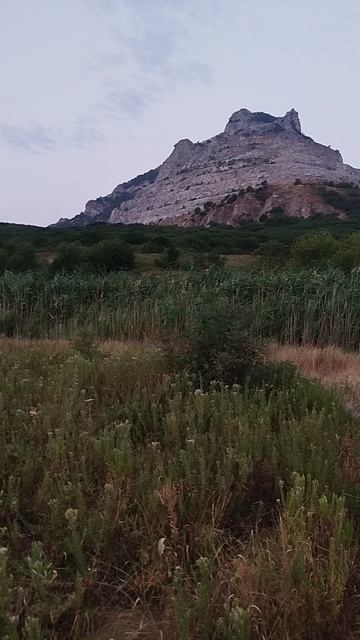 Гора Змейка - 4. смотреть онлайн