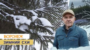 СХИ зимой, Воронеж 09.02.26г.