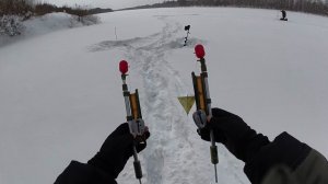 Зимняя Рыбалка на Оке 8 Февраля 2026. Обстановка, Метель Даже Поймали.