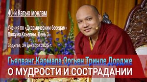 Кармапа о мудрости и сострадании