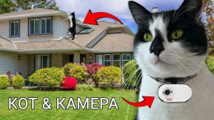 РЕАЛЬНЫЙ ДЕНЬ КОТА! КОТ ГУЛЯЕТ С КАМЕРОЙ 24 ЧАСА ЧЕЛЛЕНДЖ