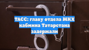 ТАСС: главу отдела ЖКХ кабмина Татарстана задержали