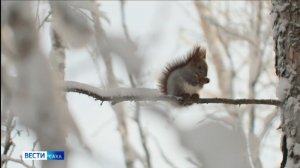 21:10 ВЕСТИ САХА 09/02/26 НА РУССКОМ ЯЗЫКЕ