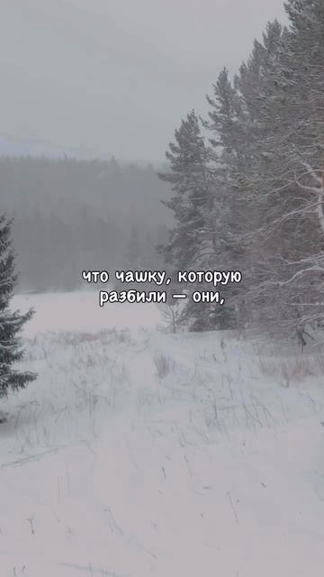 Таким людям бесполезно что-то доказывать… смотреть онлайн