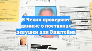В Чехии проверяют данные о поставках девушек для Эпштейна