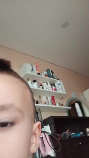 хлебной динозавр😹😹