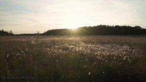 Симфонический мистический дип-хаус 2026 collection 2