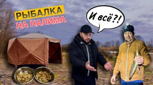 ОЧЕРЕДНАЯ ПОПЫТКА ПОЙМАТЬ НАЛИМА В ПЛЮСОВУЮ ПОГОДУ. ОТДЫХ И ЕДА НА РЕКЕ КЛЯЗЬМА (03-04.11.25г.)