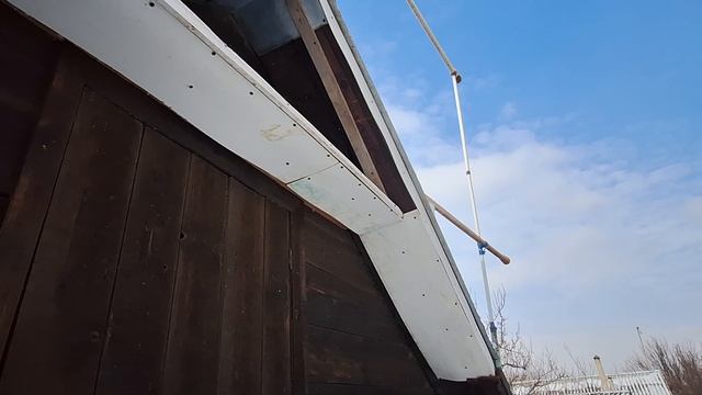 1000108261.mp4 Как живут голуби на даче. смотреть онлайн