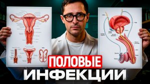 Половые инфекции: как они передаются, как их проверять и как лечить