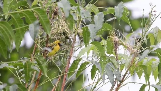 Тест рекламы 16 смотреть онлайн