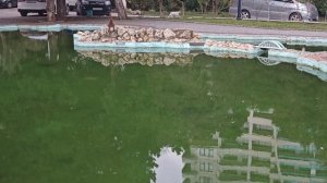 Ялта - Алушта. Море... Горы... Облака