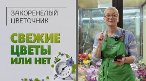 Свежие цветы или нет: как понять? Гарантия на срезанные цветы - существует ли она или это миф.