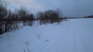 Ищем зайца . Охота в Ленинградской области сезон 2025-2026