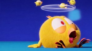 Где Чикки?  | ЧИККИ РАЗВЛЕКАЕТСЯ | Мультфильмы для детей