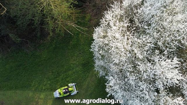 Косилка для высокой травы Grillo FK 700 смотреть онлайн