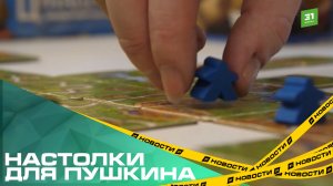 Настолки для Пушкина. В центральной городской библиотеке обновили молодежный отдел