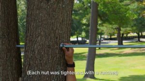 Брассовка, или брейсинг деревьев N1