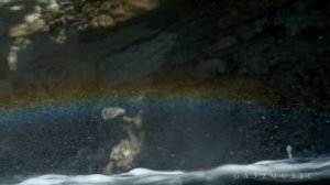 Клип Tara202,Yasniel Navarro дух кавабанга (GA37MUSIC Music Video, отборная музыка, текст песни)