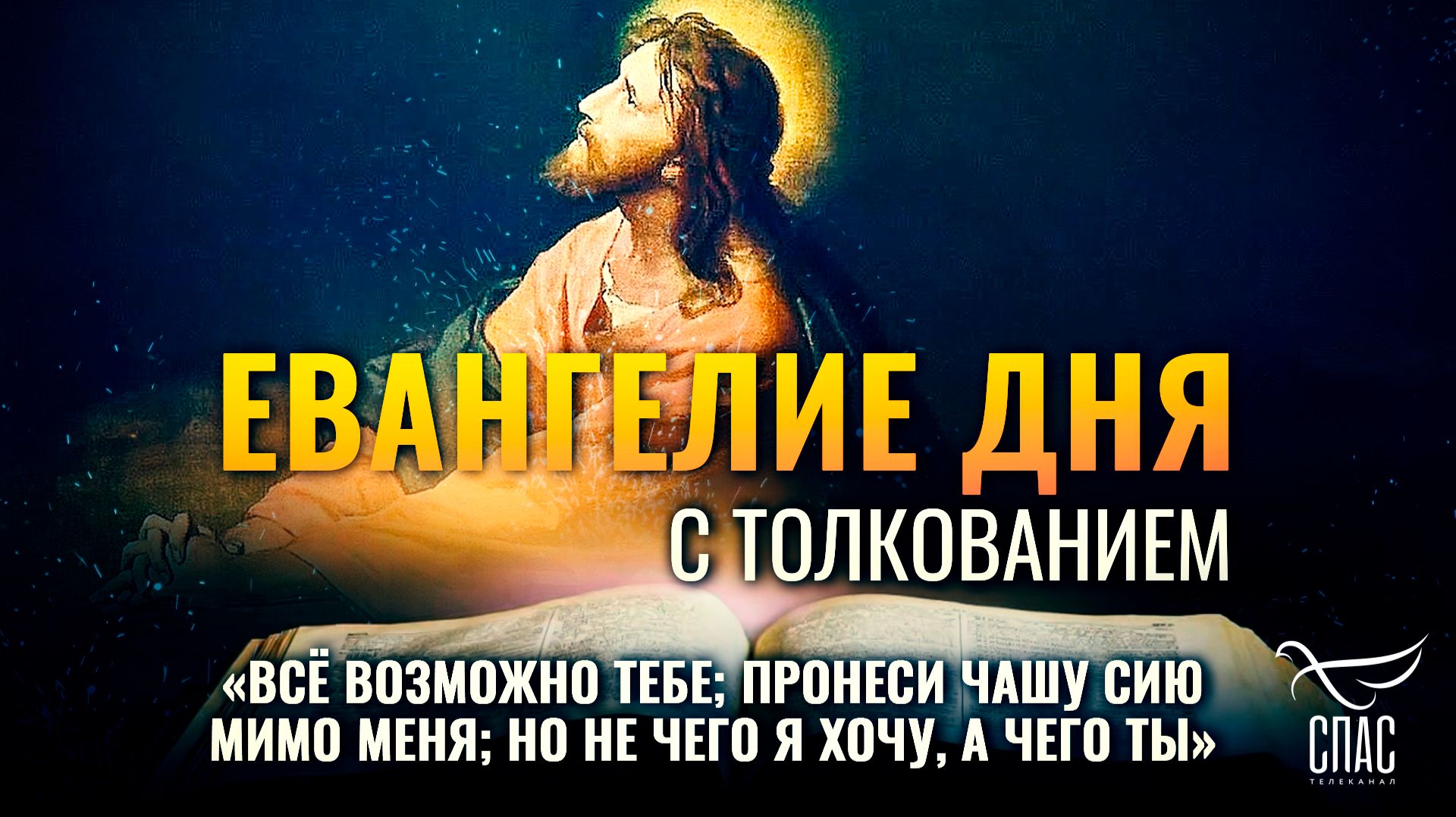 «Всё возможно Тебе; пронеси чашу сию мимо Меня; но не чего Я хочу, а чего Ты» / Евангелие дня