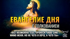 «Всё возможно Тебе; пронеси чашу сию мимо Меня; но не чего Я хочу, а чего Ты» / Евангелие дня