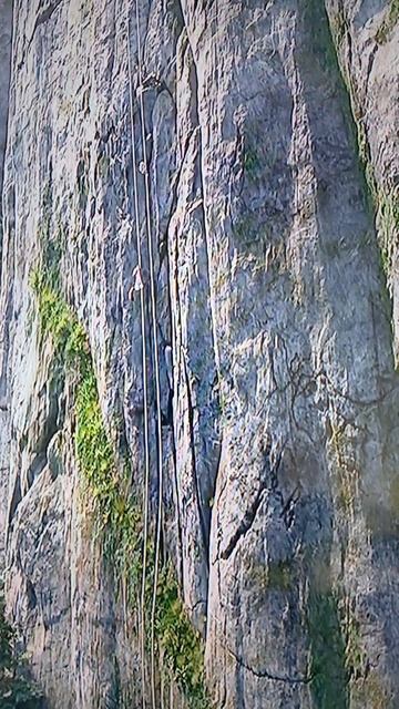 Sqwkwkwj смотреть онлайн